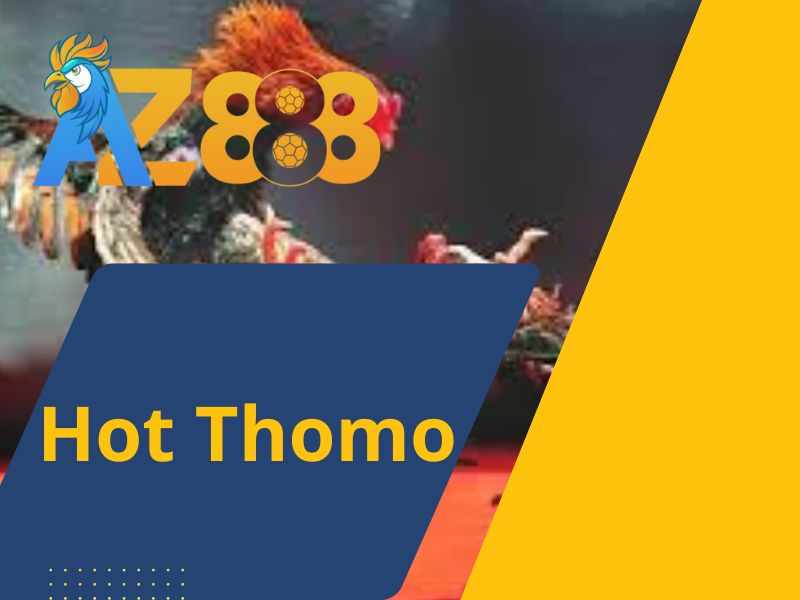 Hot Thomo -  Tổng Hợp Các Trận Gà Hay Nhất Thomo Hằng Ngày