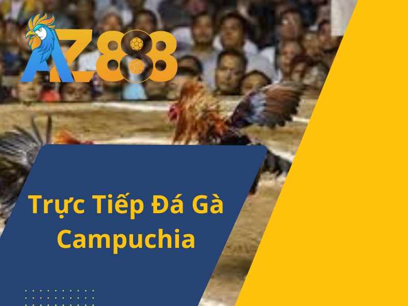 Trực Tiếp Đá Gà Campuchia Tại Trực Tiếp Đá Gà AZ888 - Phát Trực Tiếp Đá Gà Hàng Ngày
