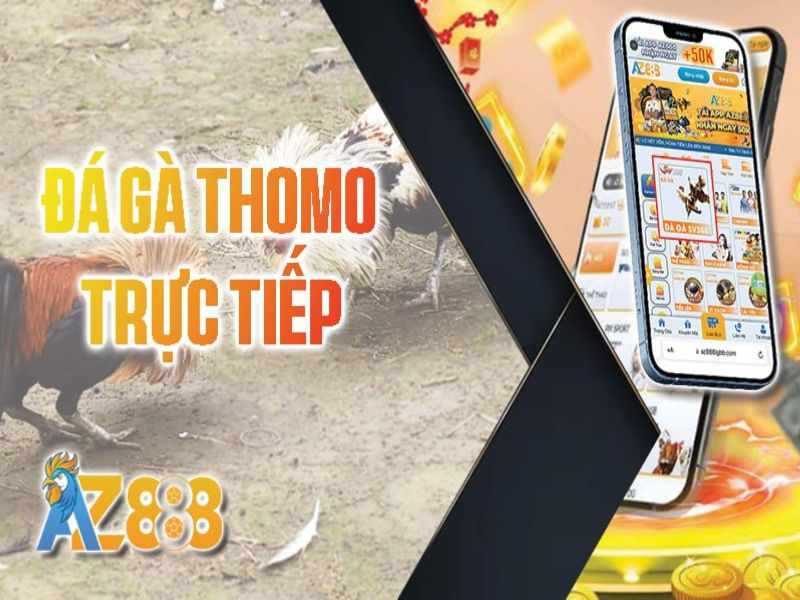 Trực Tiếp Đá Gà AZ888 - Xem Trực Tiếp Đá Gà Tại Thomo Hàng Ngày