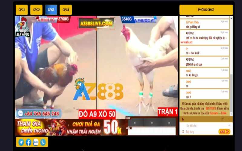 Trực Tiếp Đá Gà AZ888 – Xem Trực Tiếp Đá Gà CPC1 CPC2 CPC3 CPC4 Hàng Ngày
