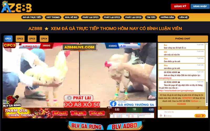 AZ888 - Trực Tiếp Đá Gà Thomo Hàng Ngày Có Bình Luận Viên