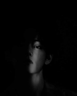 Chapter - 14 " A little freedom "