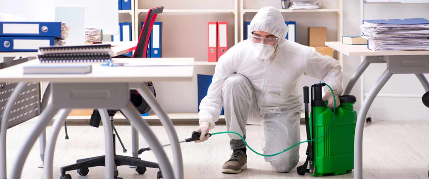 Industrial Pest Control Services in Hyderabad: Tailored Solutions for Large Facilities