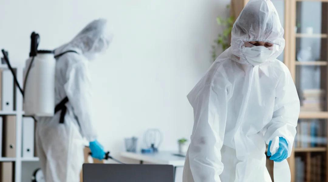 Are Pest Control Services in Hyderabad Effective Against Termites?