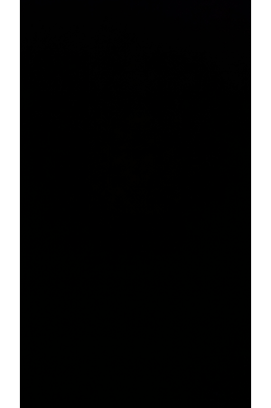 Teri Raseeli Chut Peeni Hai Mujhe ( gif)
