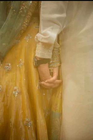 The Haldi Mark of Ownership