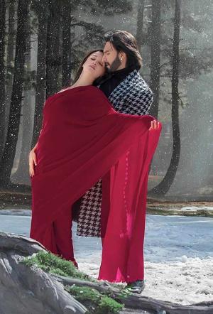 Red Saree & Frozen Dreams.