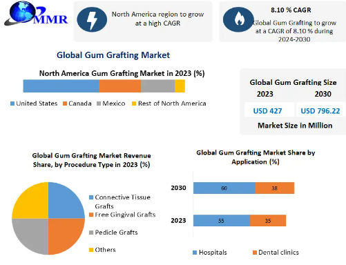 Gum Grafting Market In-Depth Analysis of Key Players-2030