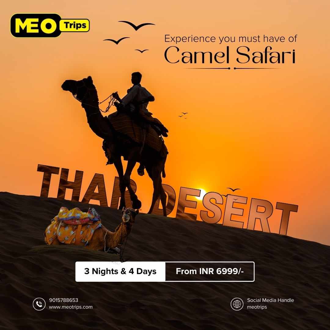 Overnight camel safari jaisalmer