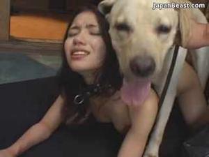 My pet dog fucked me(2k words)