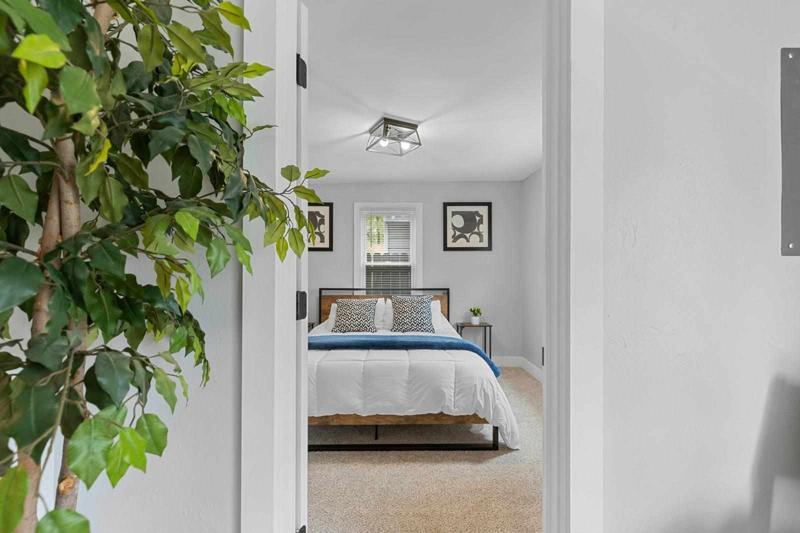 What is the deal with VRBO & Airbnb?