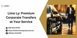 Comfortable Airport Transfers with Professional Service: