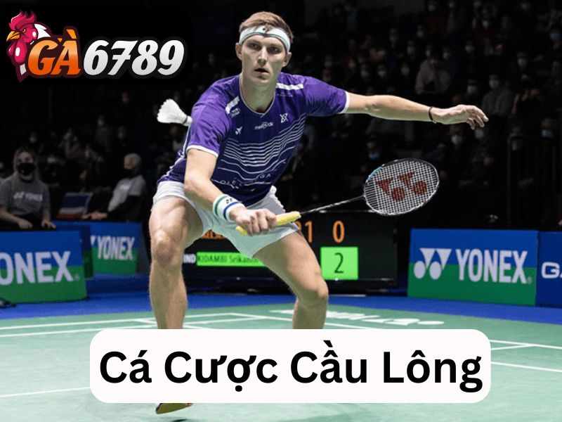 Cá Cược Cầu Lông - Hướng Dẫn Luật Chơi Và Cách Đặt Cược Chi Tiết