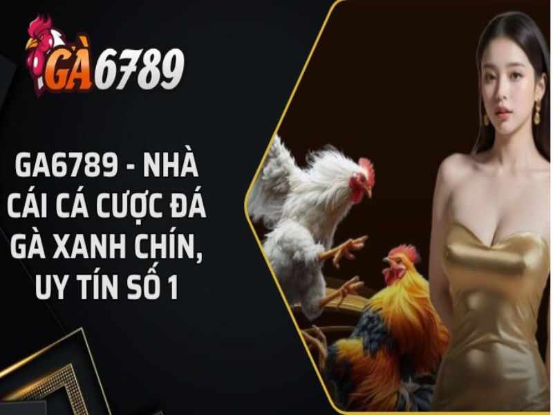 GA6789 - Trang Cá Cược Đá Gà Trực Tiếp Thomo Uy Tín Số 1 Việt Nam