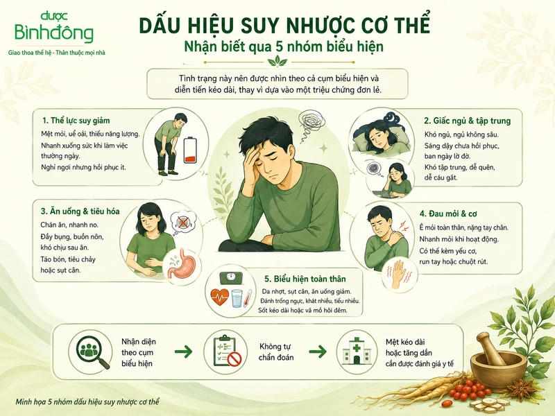 Nguyên nhân suy nhược cơ thể: 5 nhóm yếu tố thường gặp