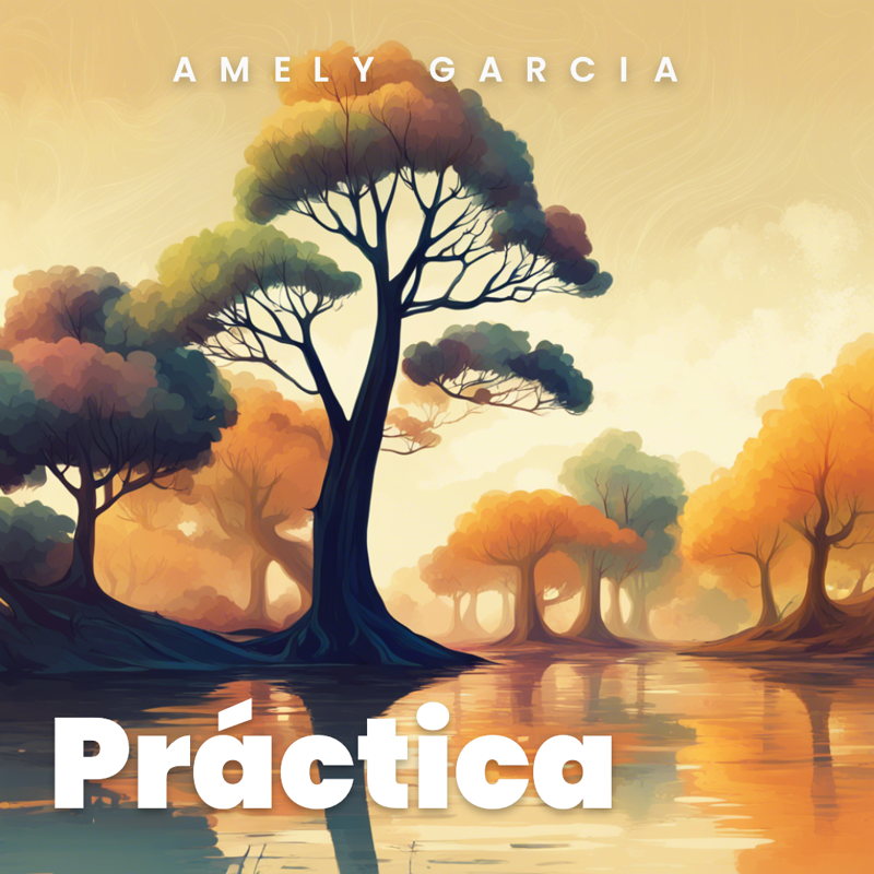 Práctica Evalúativa