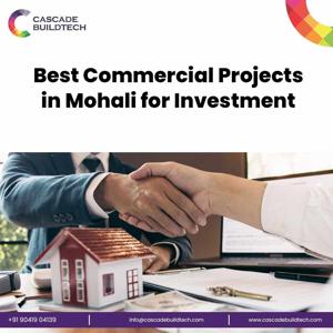 Best Commercial Projects in Mohali for Investment