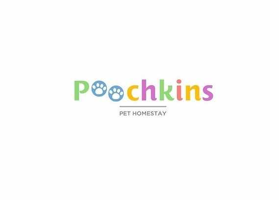 Boarding for Dogs in Noida - Poochkins