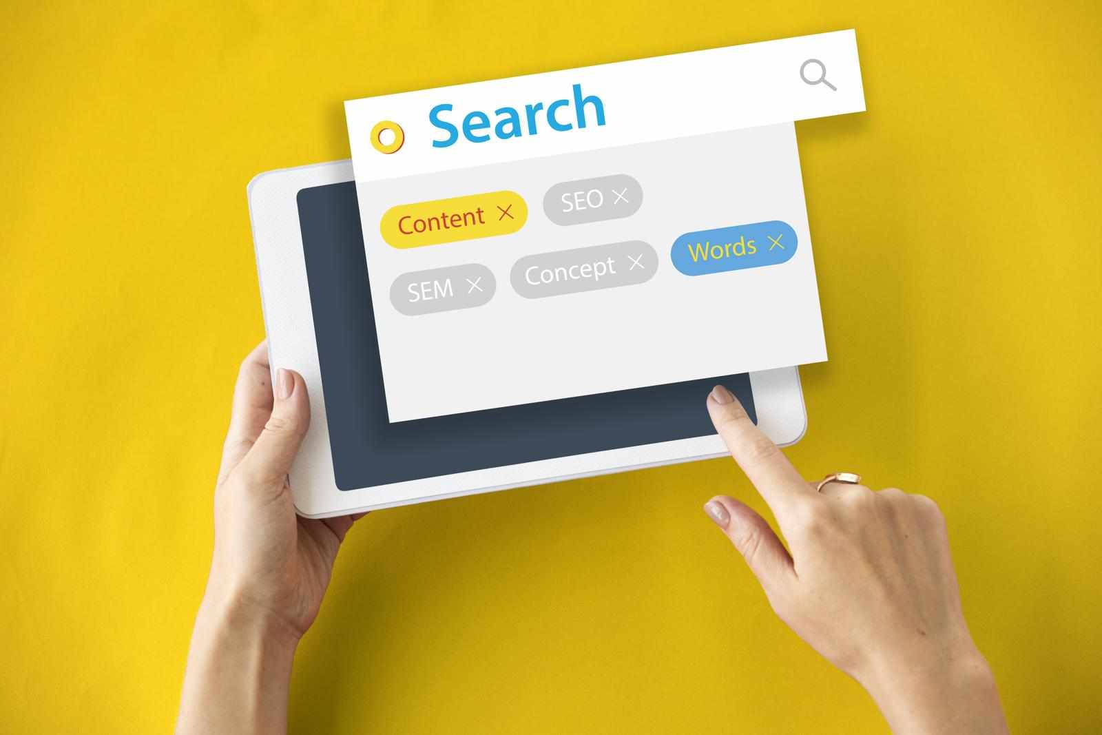 From Local to Global: How an SEO Company in Delhi NCR Delivers Top SEO Services in India
