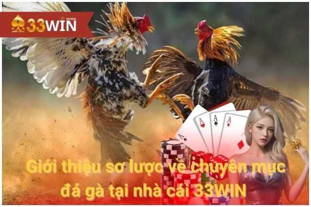 Giới thiệu sơ lược về chuyên mục đá gà tại nhà cái 33WIN