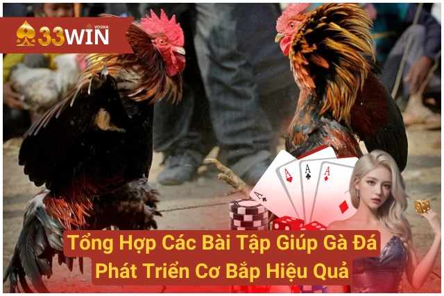 Tổng Hợp Các Bài Tập Giúp Gà Đá Phát Triển Cơ Bắp Hiệu Quả 33WIN