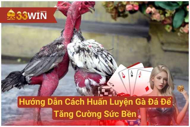 Hướng Dẫn Cách Huấn Luyện Gà Đá Để Tăng Cường Sức Bền 33WIN