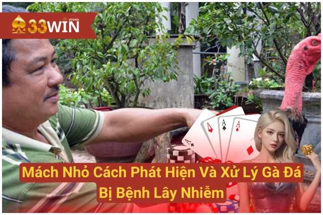 Mách Nhỏ Cách Phát Hiện Và Xử Lý Gà Đá Bị Bệnh Lây Nhiễm 33WIN
