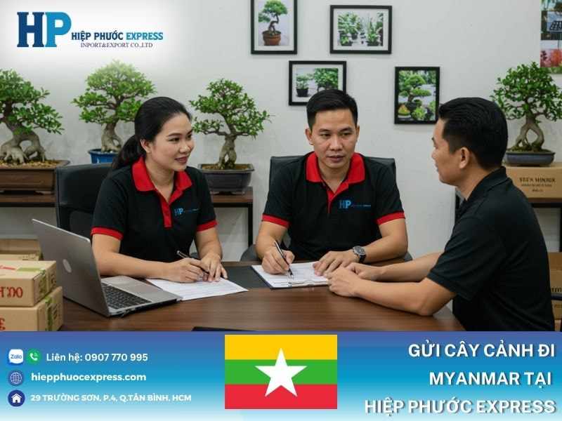 Dịch vụ gửi cây cảnh đi Myanmar GIÁ RẺ