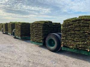 How Bermuda Grass Celebration Improves Curb Appeal