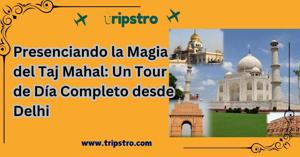 Presenciando la Magia del Taj Mahal: Un Tour de Día Completo desde Delhi
