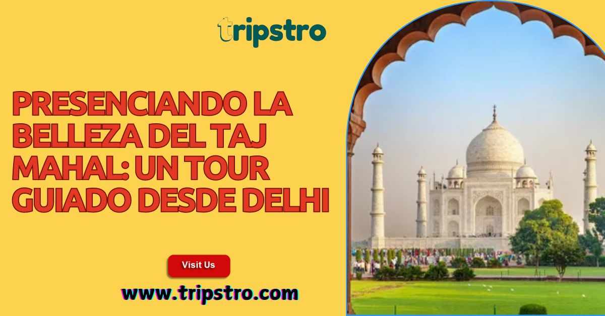 Presenciando la Belleza del Taj Mahal: Un Tour Guiado desde Delhi