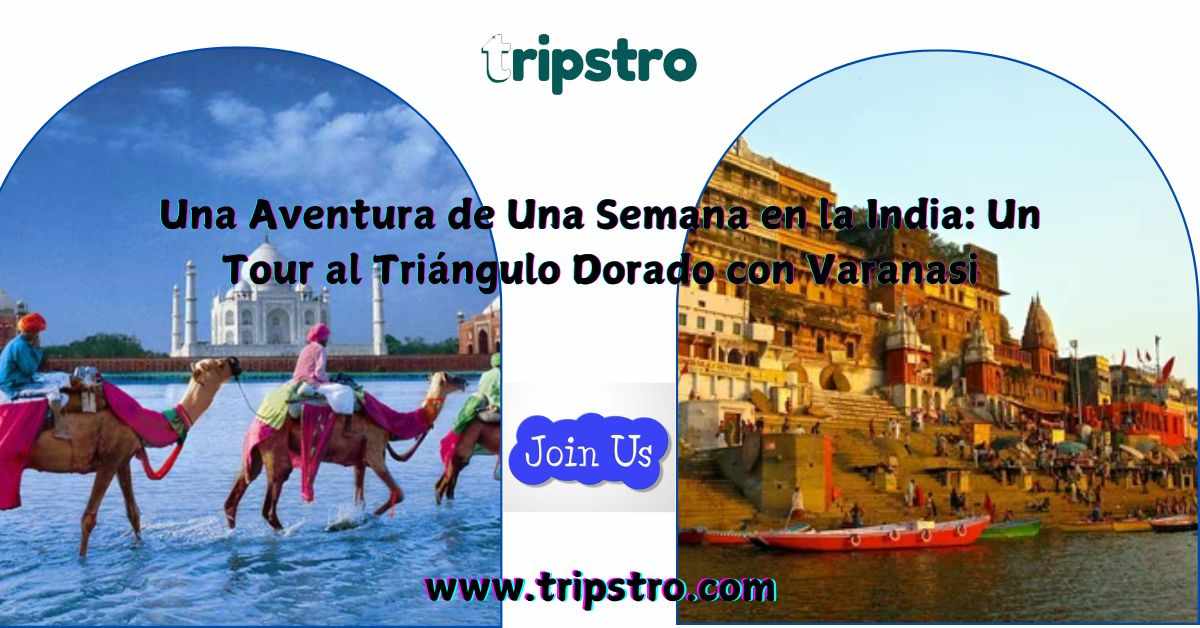 Una Aventura de Una Semana en la India: Un Tour al Triángulo Dorado con Varanasi