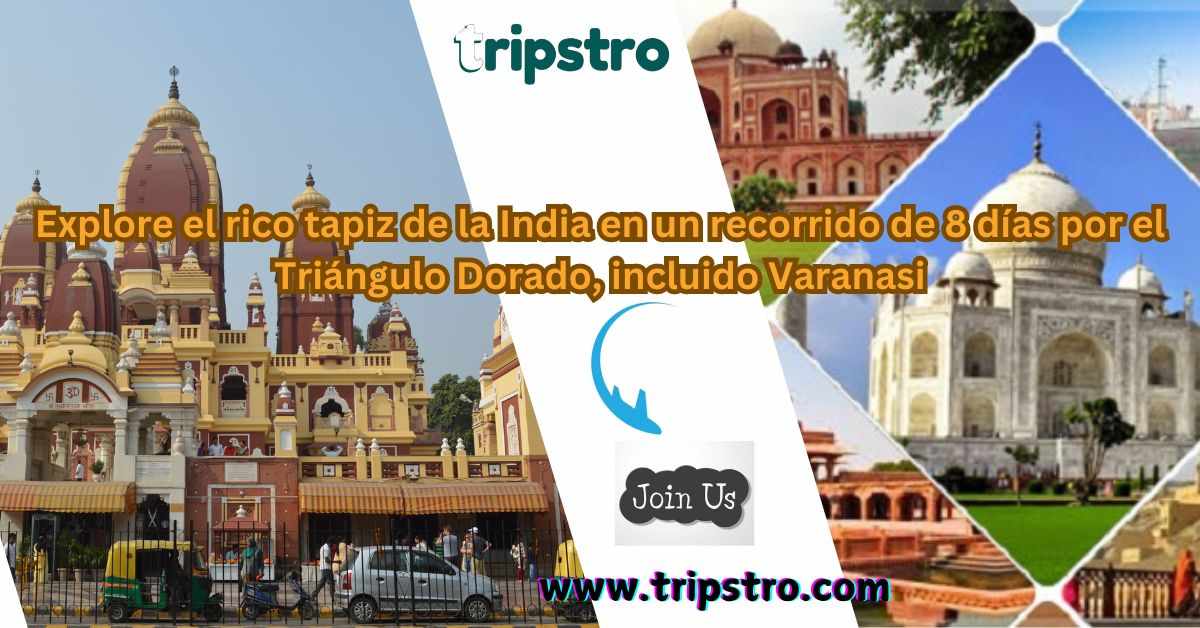 Explore el rico tapiz de la India en un recorrido de 8 días por el Triángulo Dorado, incluido Varanasi