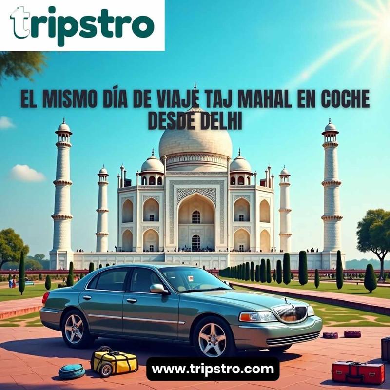 Viaje en Coche al Taj Mahal desde Delhi en un Día