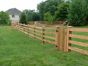 Post and Rail vs. Colorbond Fencing: Which Is Right?