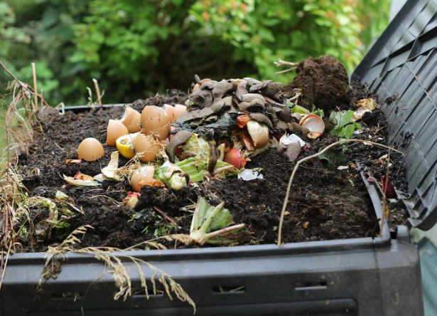 Why Organics Recycling Matters: Impact on Climate and Sustainability