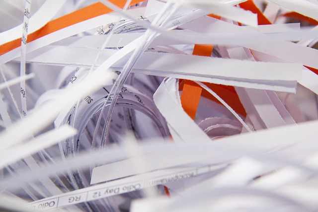 Are Houston Junk Removal Services Worth the Investment? Here's What You Need to Know
