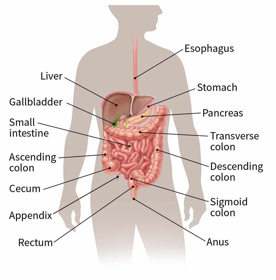 Stomach Cancer