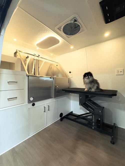 Convenient Grooming Solutions for Busy Dog Owners