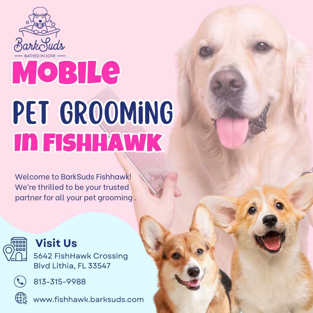 Convenience and Care: The Benefits of Mobile Pet Grooming