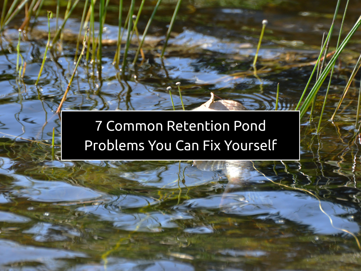 7 Common Retention Pond Problems You Can Fix Yourself