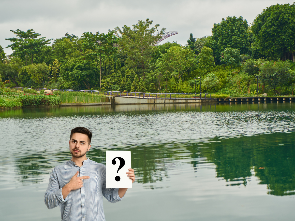 Who Is Responsible for Retention Pond Maintenance in Georgia?