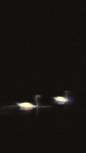 𝜗ৎ ⋆｡Nyx˚⋆⁺₊✧ logo