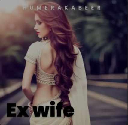 EX WIFE SEASON ONE