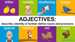 Adjectives (विशेषण)