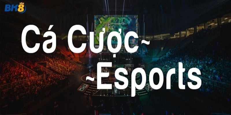 Ca cuoc Esports – Bi kip dat keo dinh cao cho dan choi