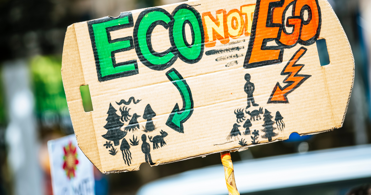 Executive Sustainability: Premium Eco-Friendly Corporate Gifts for the Modern Leader