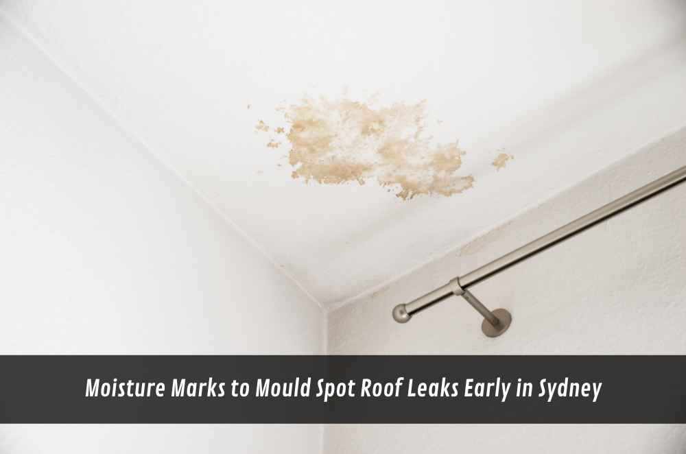 Moisture Marks to Mould Spot Roof Leaks Early in Sydney