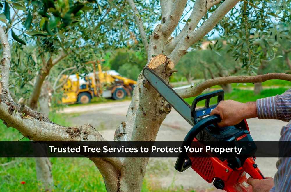 Trusted Tree Services to Protect Your Property