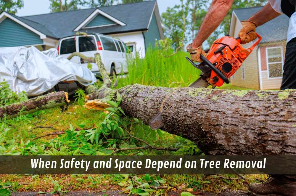 When Safety and Space Depend on Tree Removal
